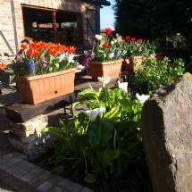 Charmehotel De stokerij te Oudenburg, West-Vlaanderen - Overnachten nabij Brugge, Oostende en De Haan
